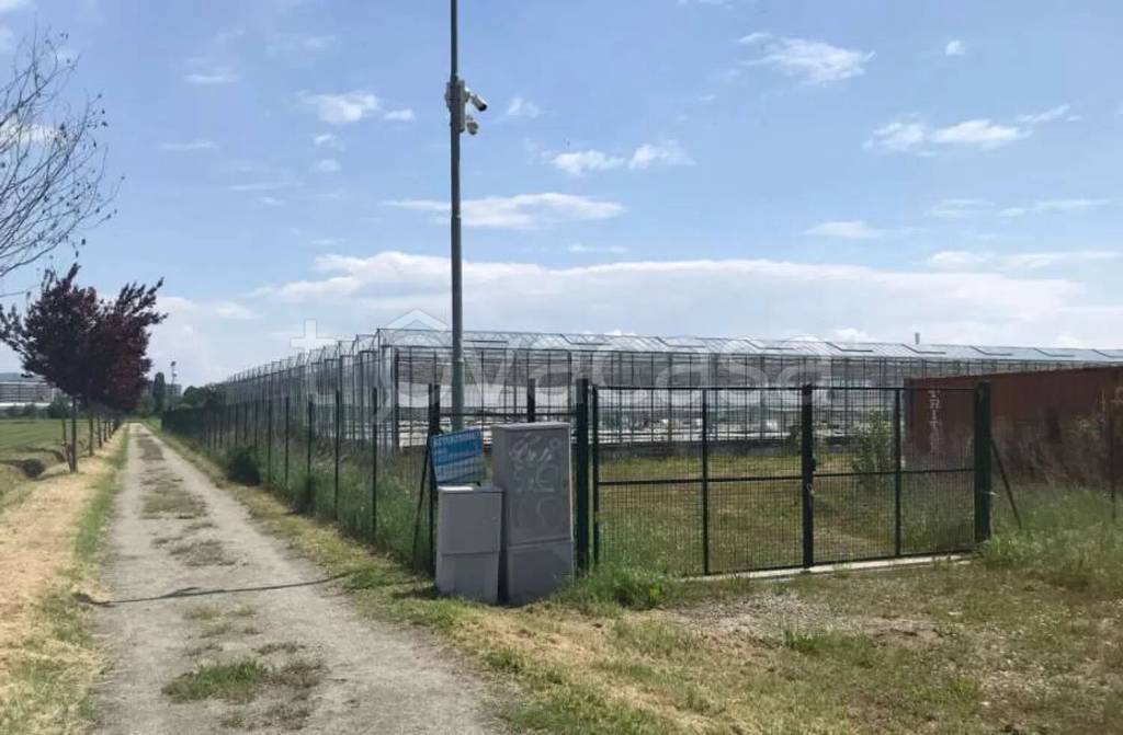 immagine annuncio 3 di 13