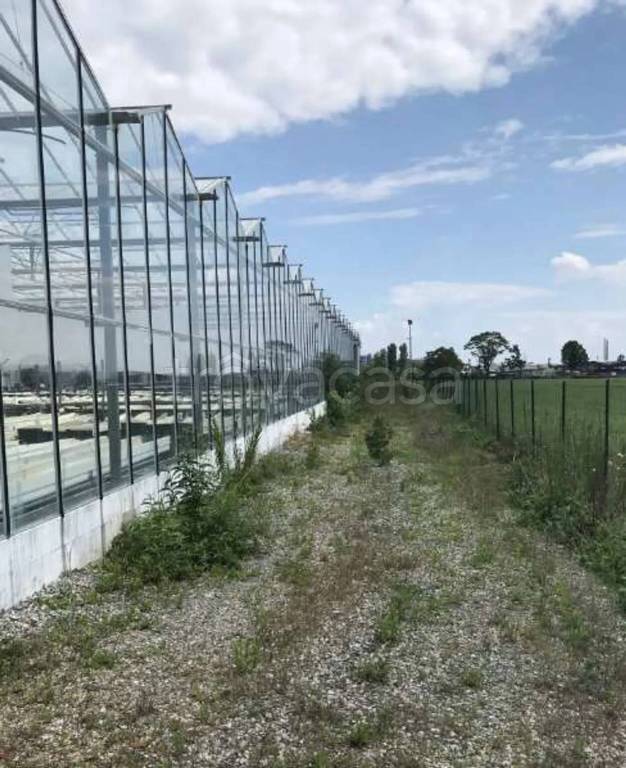 immagine annuncio 4 di 13