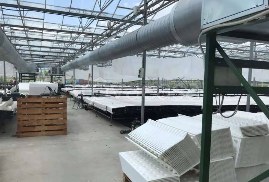 immagine annuncio 9 di 13