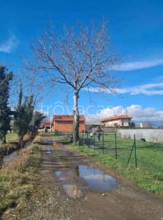 immagine annuncio 2 di 8