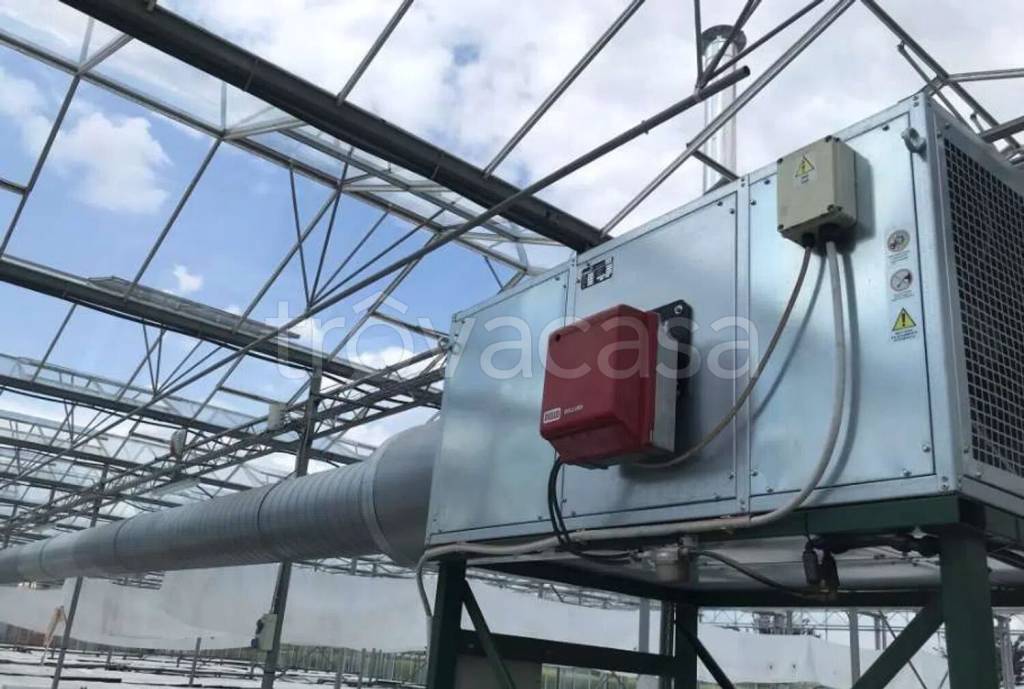 immagine annuncio 10 di 13