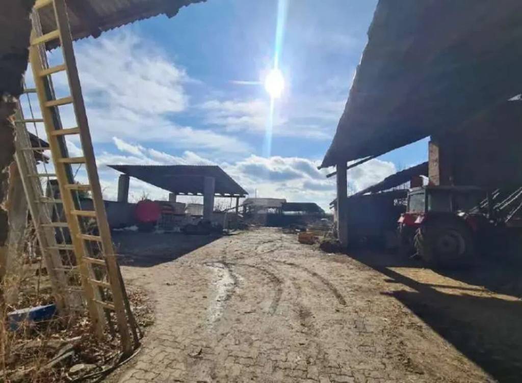 immagine annuncio 3 di 8