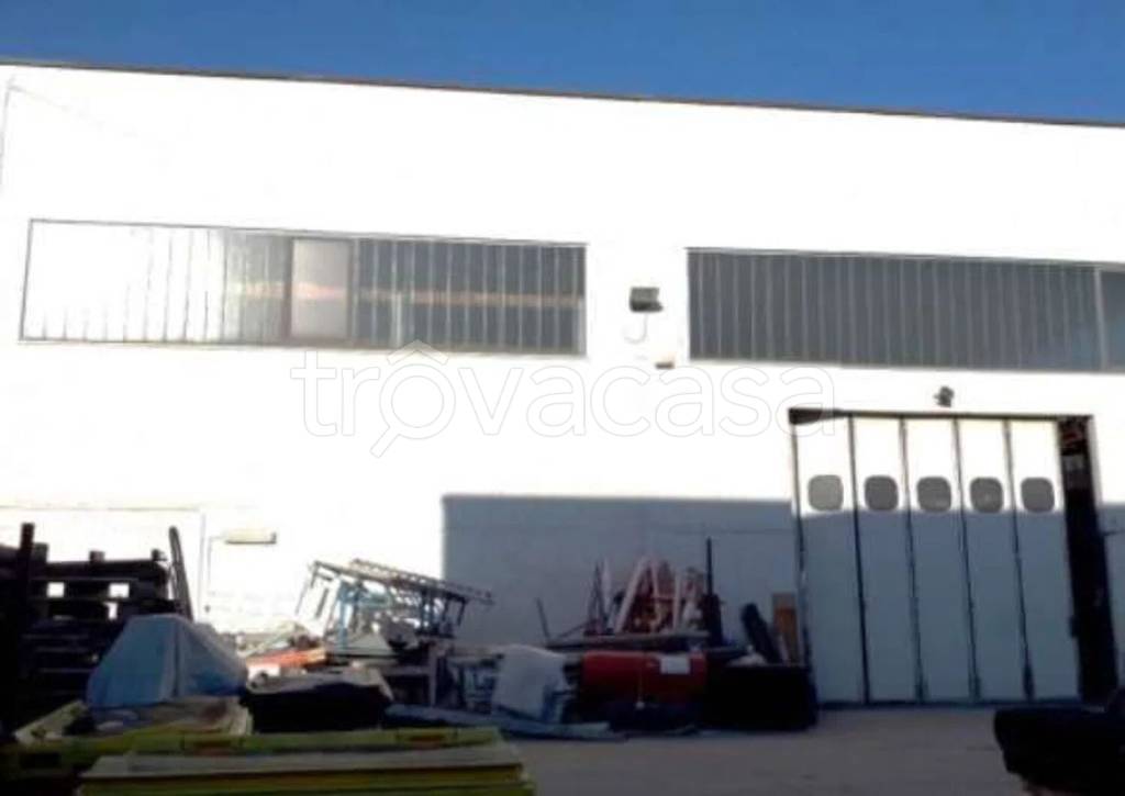 immagine annuncio 1 di 10