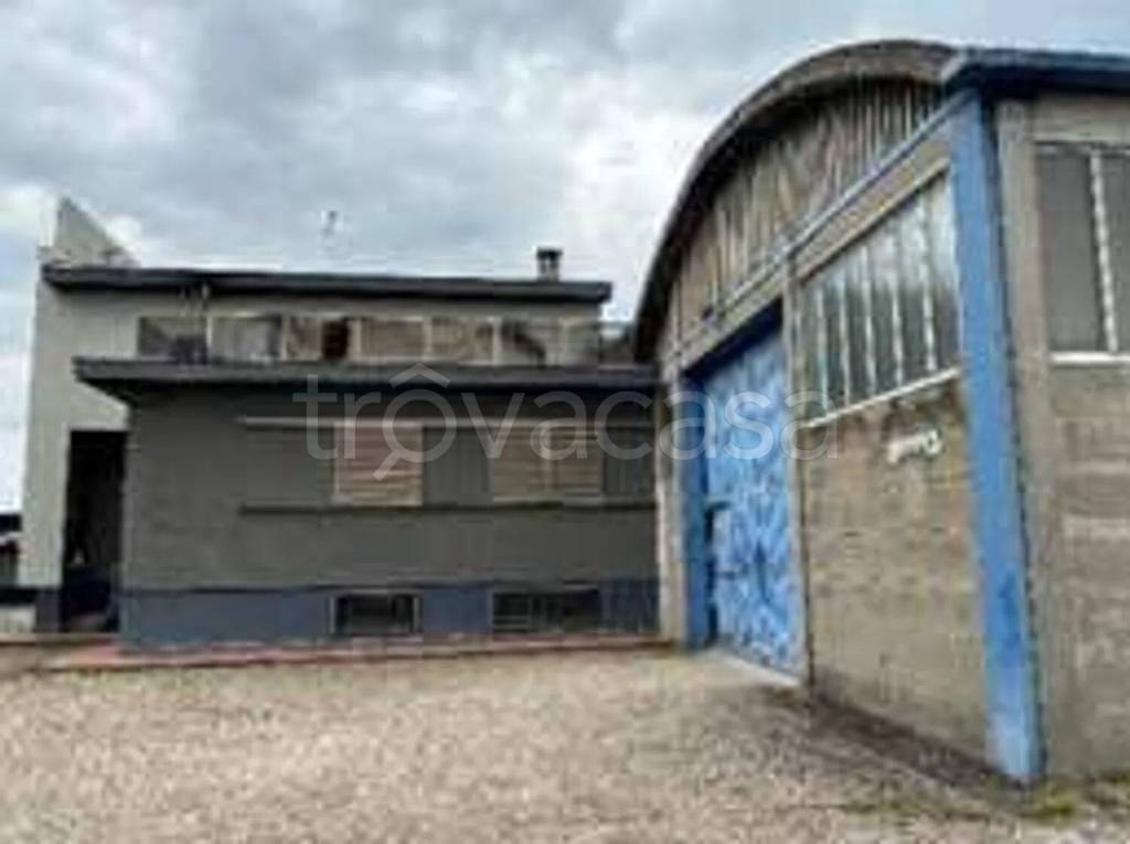 immagine annuncio 4 di 13