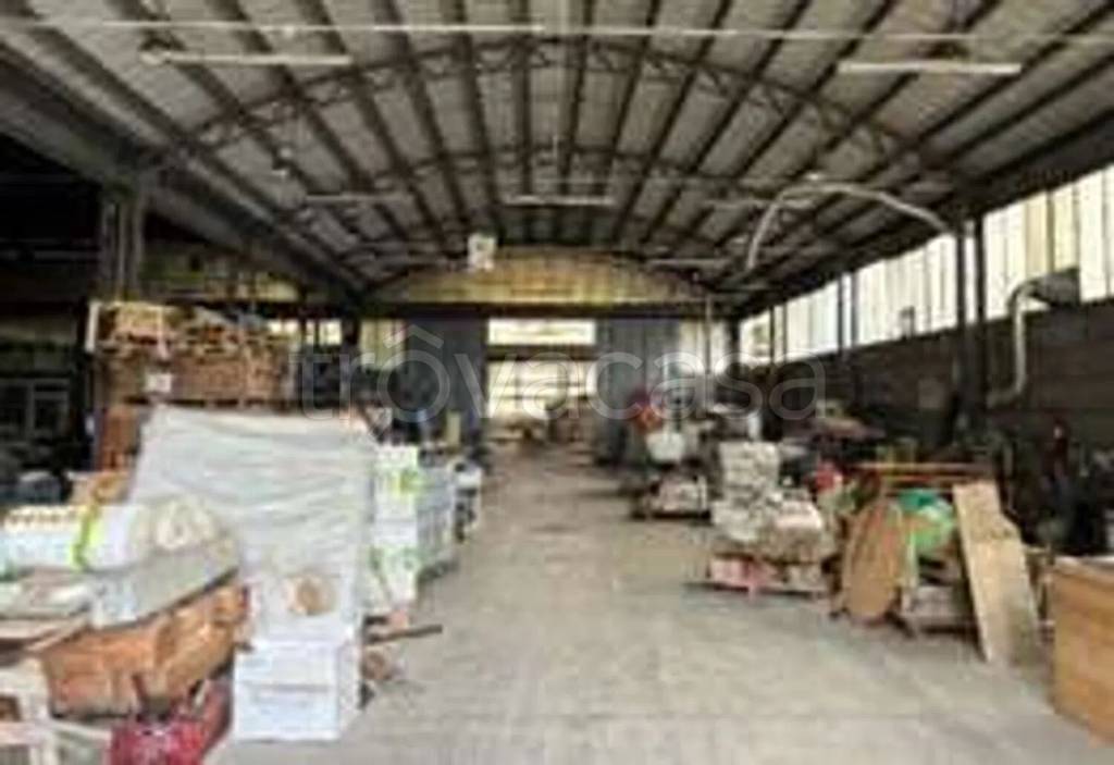 immagine annuncio 11 di 13