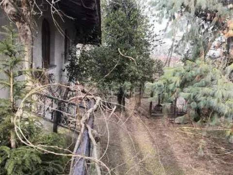 immagine annuncio 5 di 8