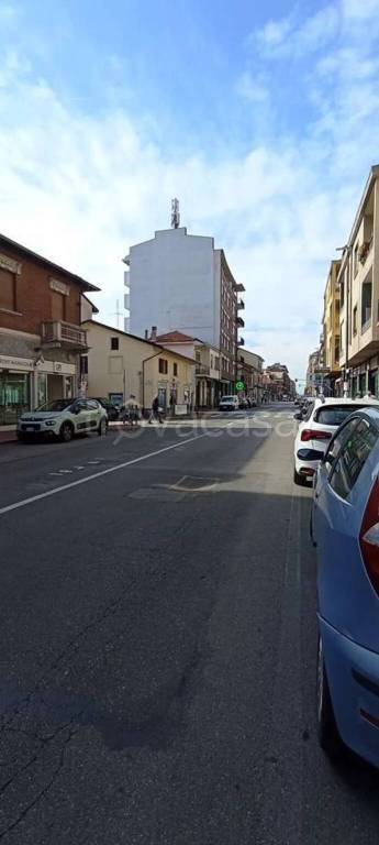 immagine annuncio 2 di 12