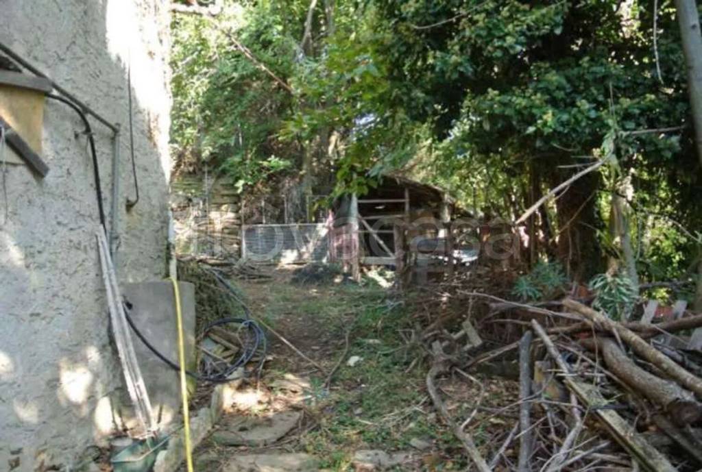 immagine annuncio 2 di 4