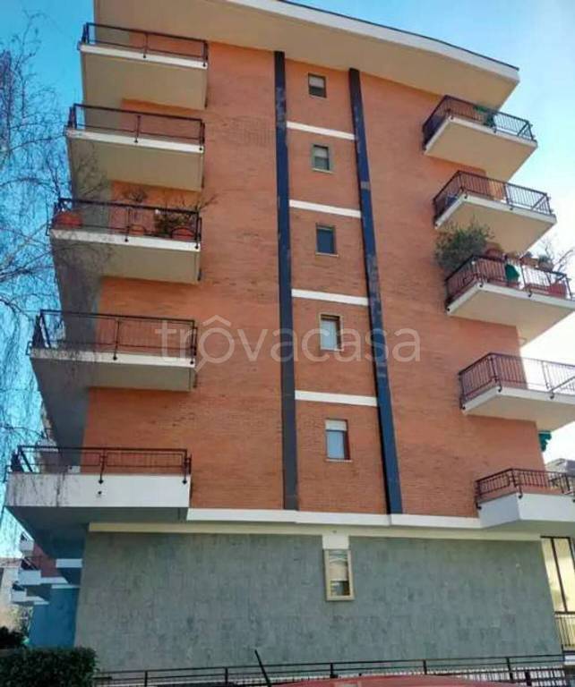 immagine annuncio 3 di 13