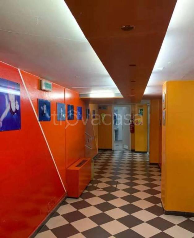 immagine annuncio 5 di 6