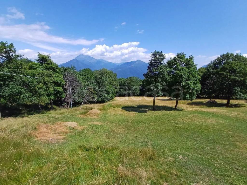 immagine annuncio 2 di 13