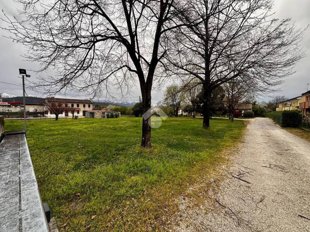 immagine annuncio 2 di 11