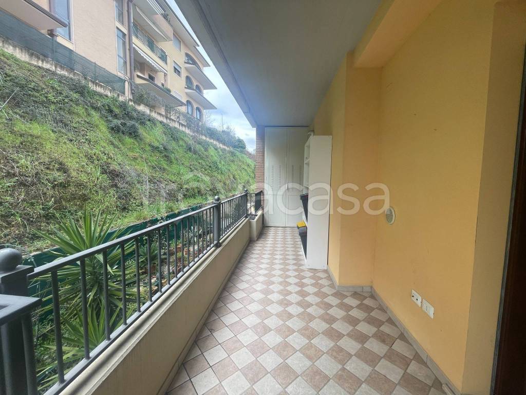 immagine annuncio 5 di 12