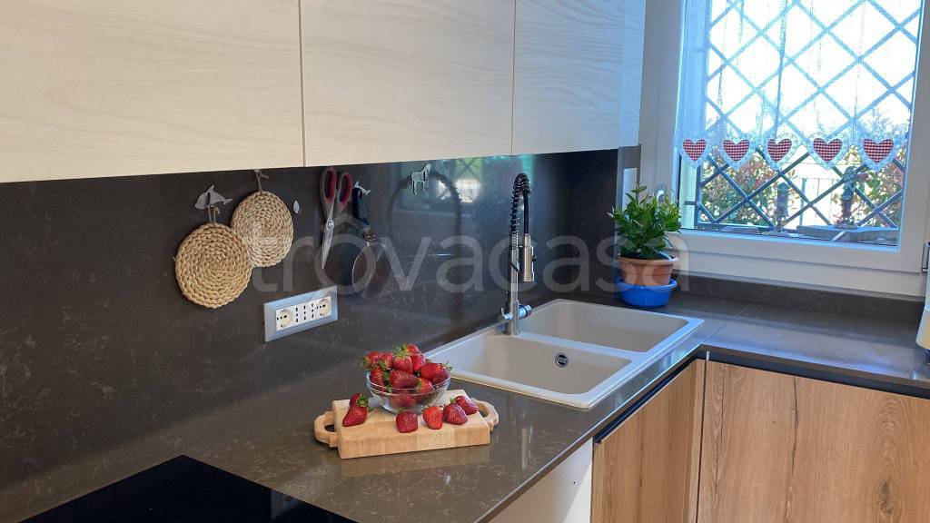 immagine annuncio 3 di 14