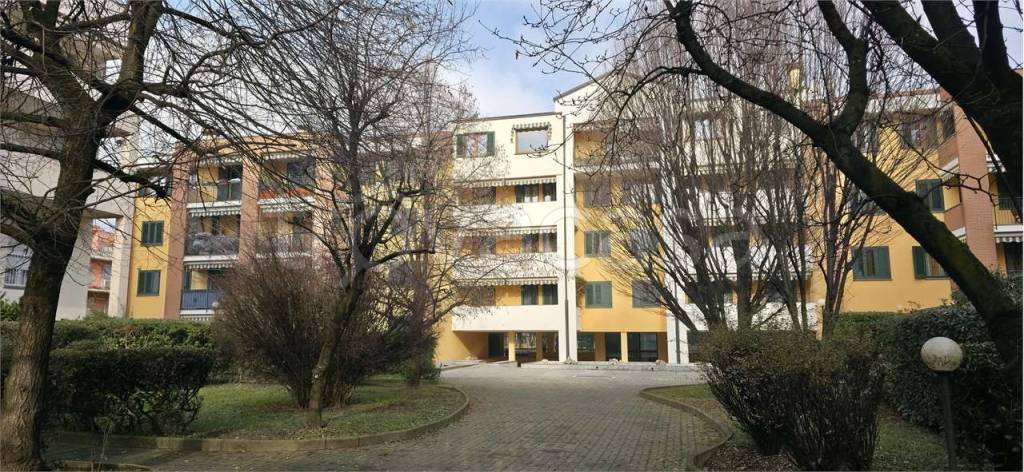 immagine annuncio 1 di 15