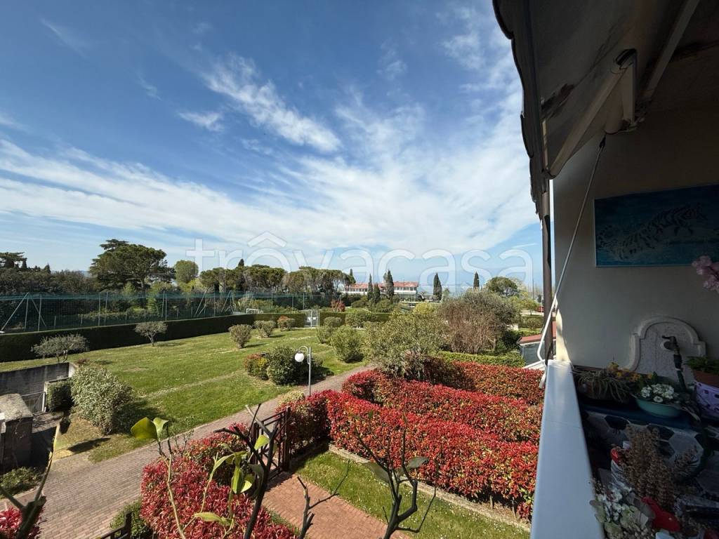 immagine annuncio 9 di 12