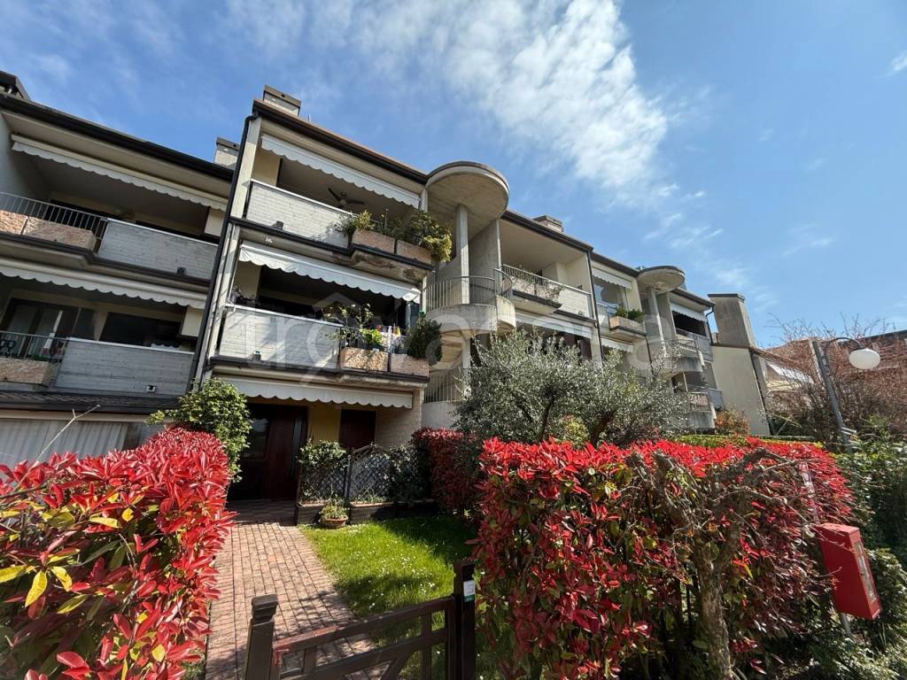 immagine annuncio 10 di 12