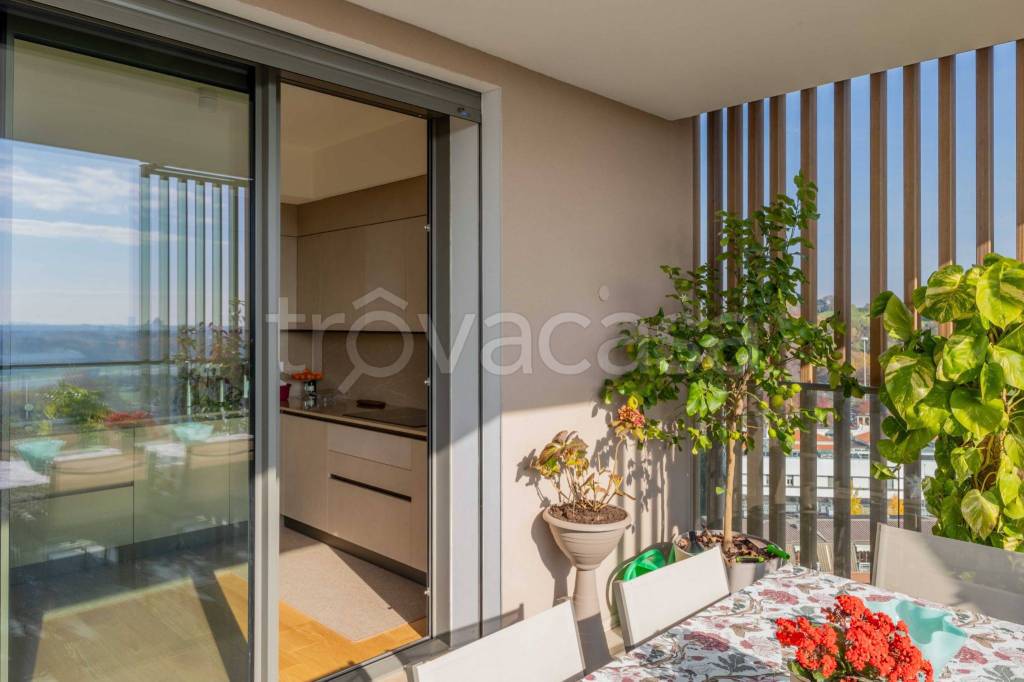 immagine annuncio 6 di 14