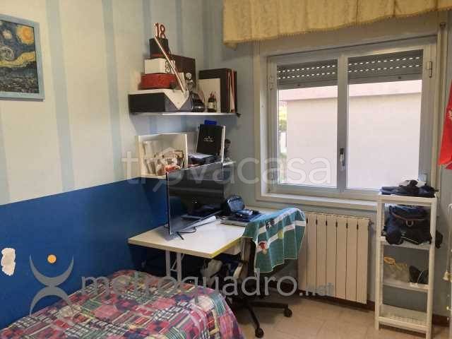 immagine annuncio 9 di 14