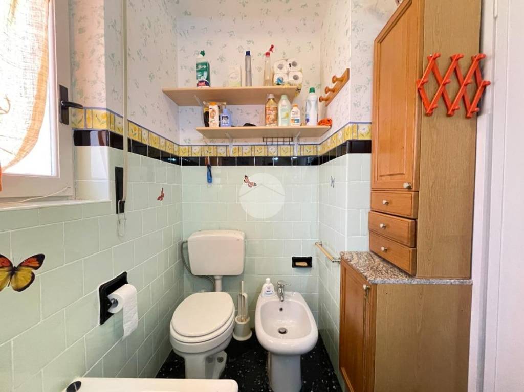 immagine annuncio 10 di 14