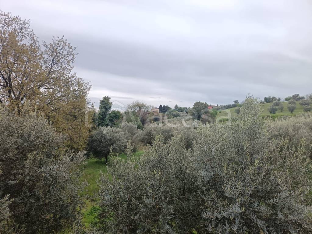 immagine annuncio 13 di 14