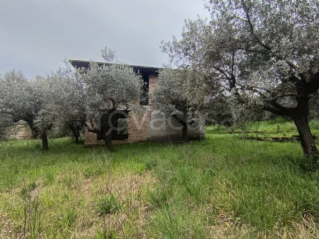 immagine annuncio 7 di 14