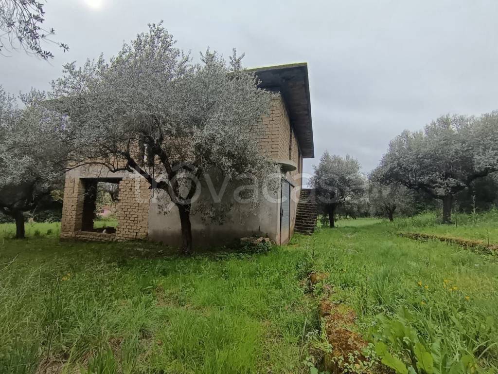 immagine annuncio 6 di 14