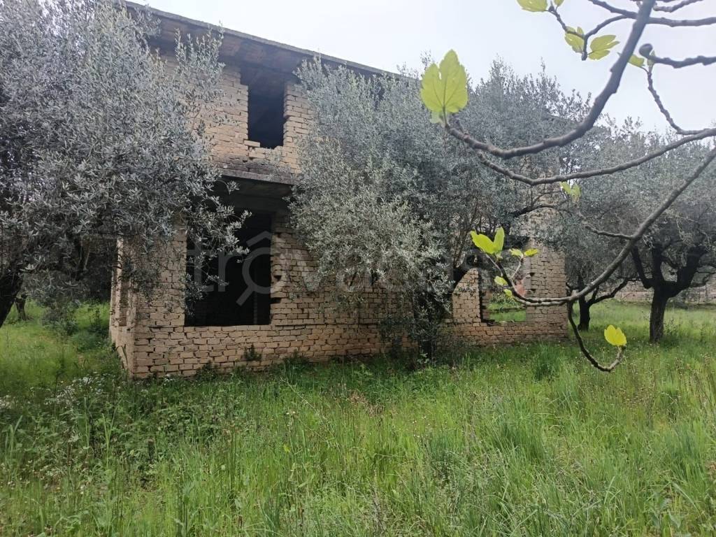 immagine annuncio 5 di 14