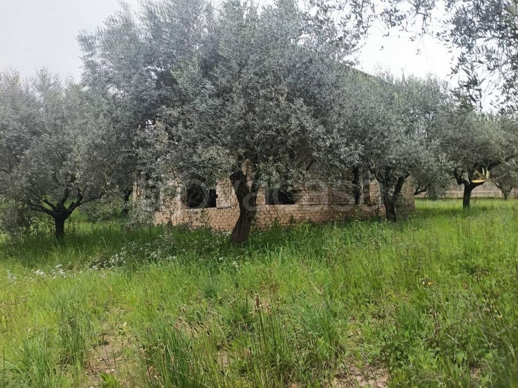 immagine annuncio 8 di 14