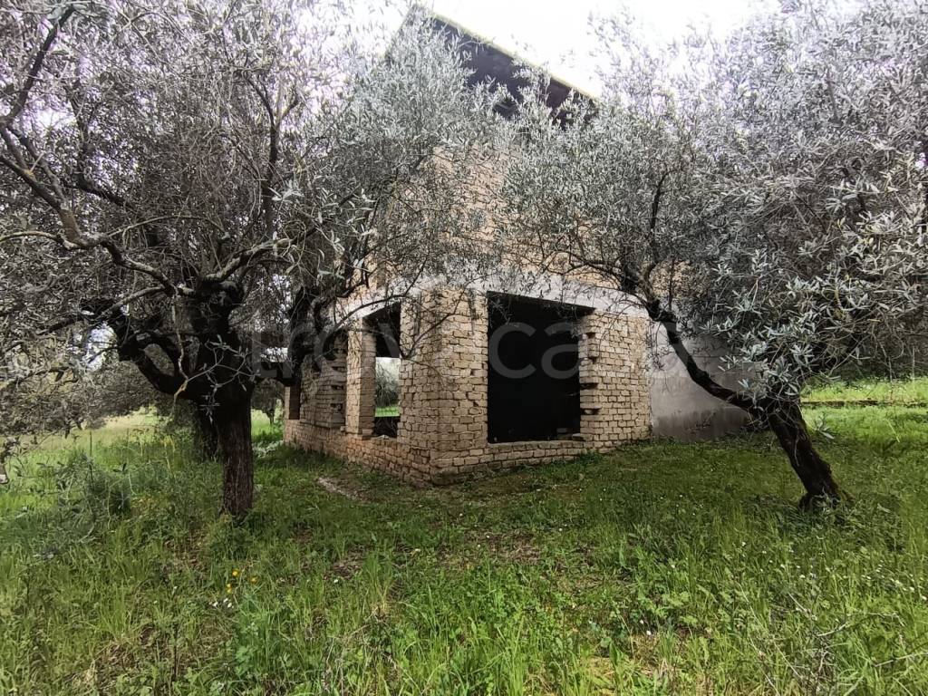 immagine annuncio 4 di 14