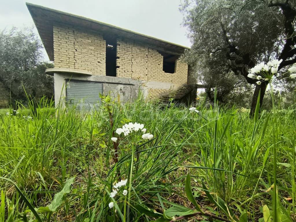 immagine annuncio 9 di 14