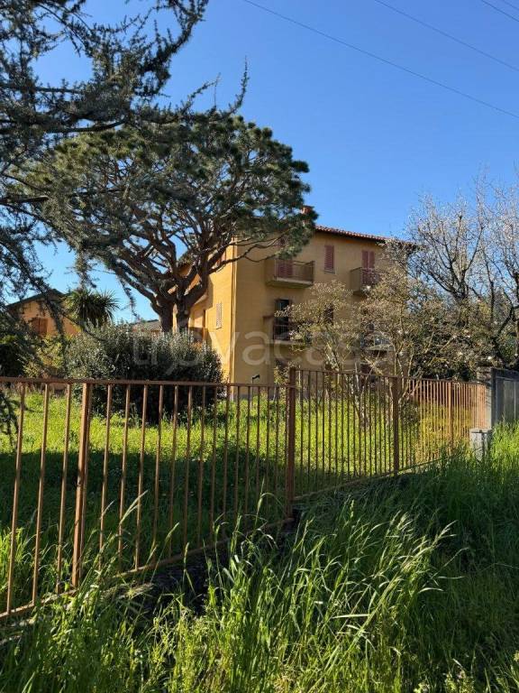 immagine annuncio 3 di 8