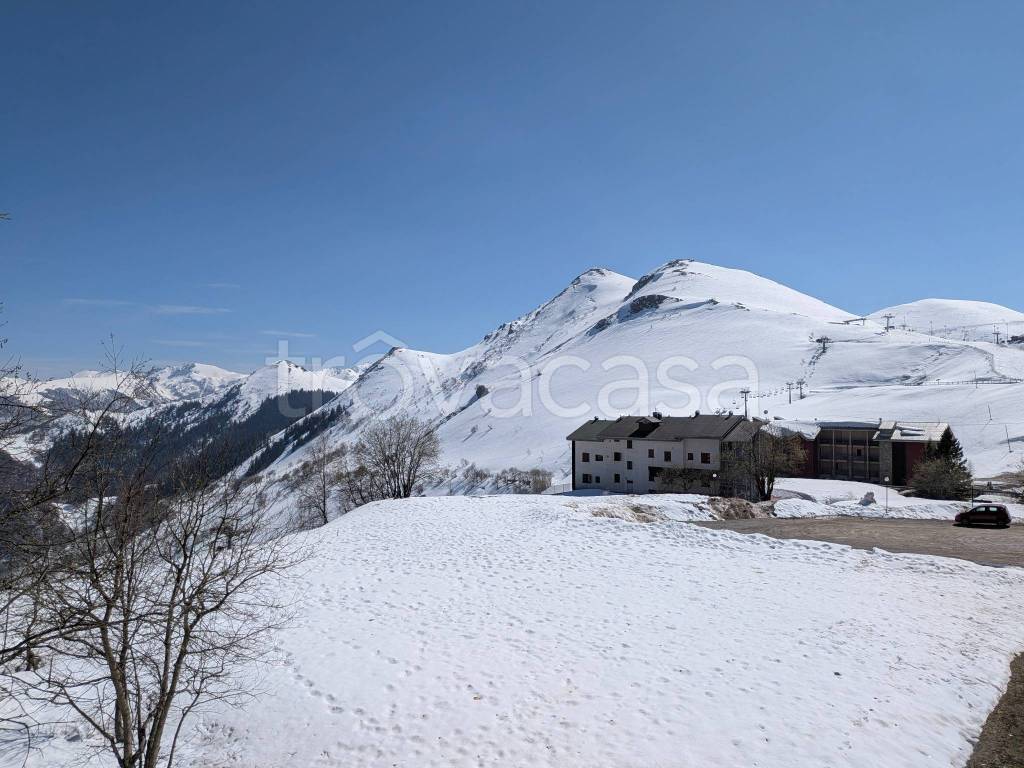 immagine annuncio 9 di 14