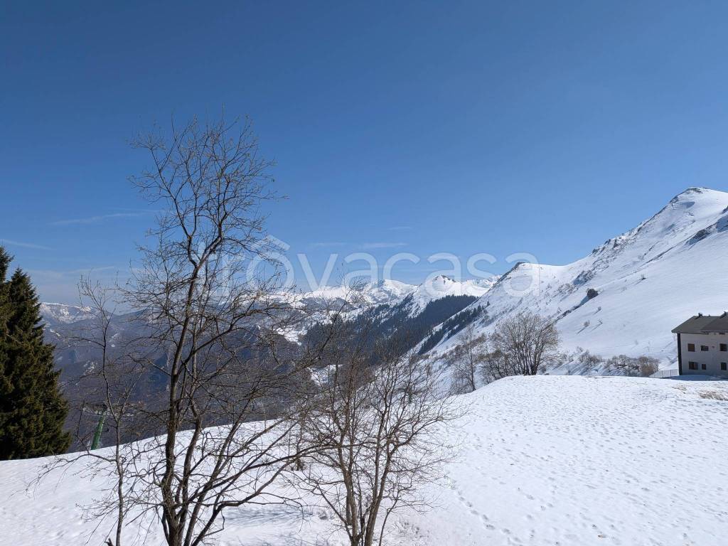 immagine annuncio 10 di 14