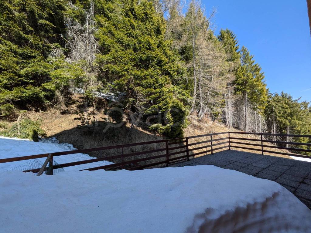 immagine annuncio 11 di 14