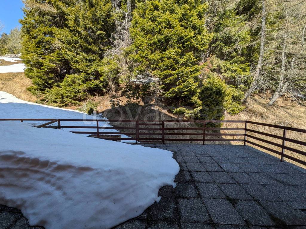 immagine annuncio 12 di 14