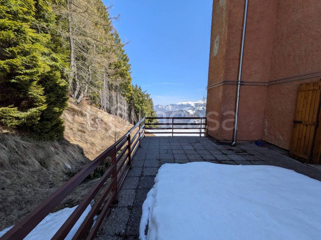 immagine annuncio 13 di 14