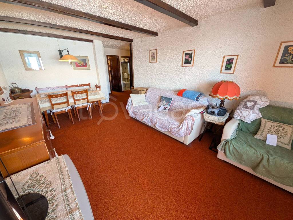 immagine annuncio 1 di 14