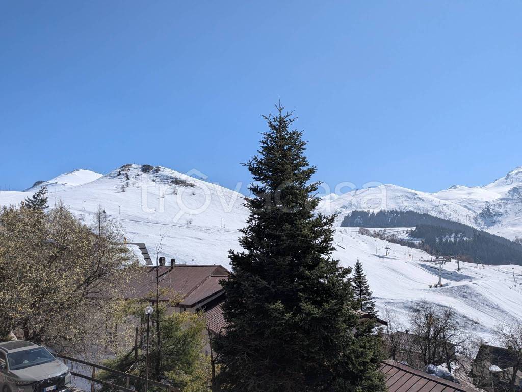 immagine annuncio 12 di 14