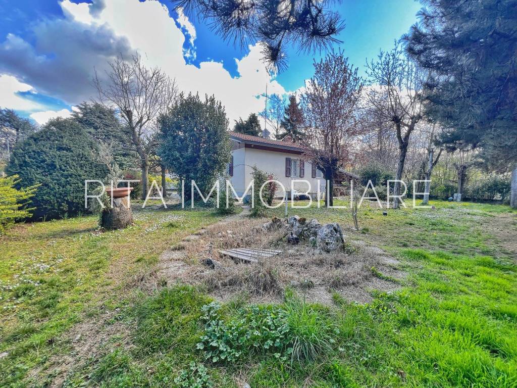 immagine annuncio 4 di 15