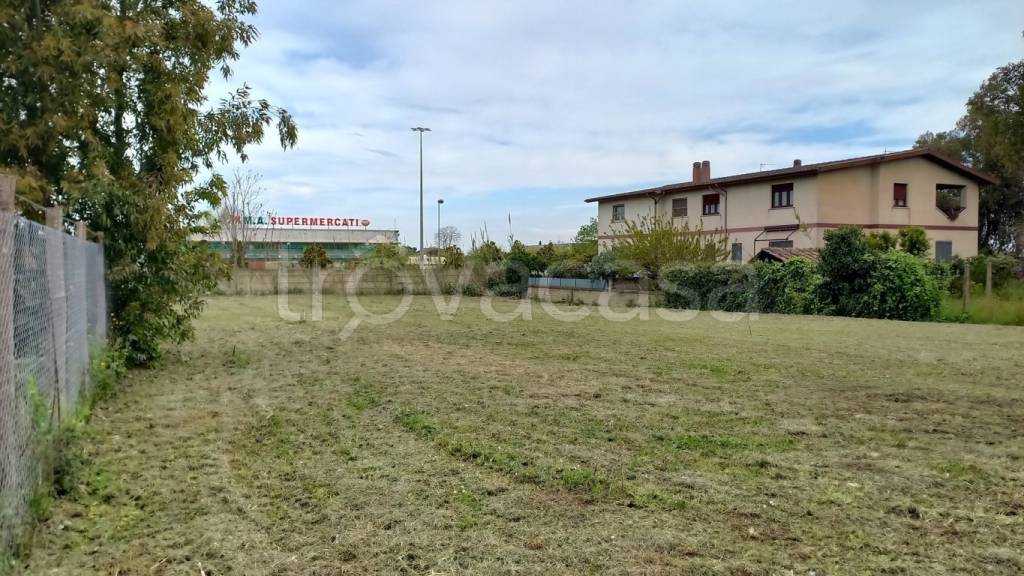 immagine annuncio 3 di 11