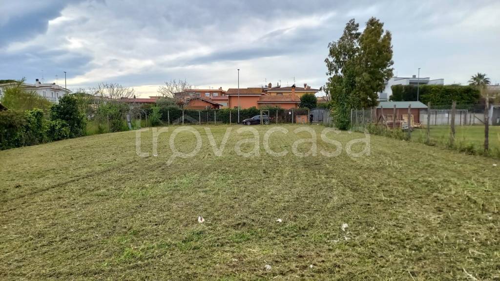 immagine annuncio 5 di 11