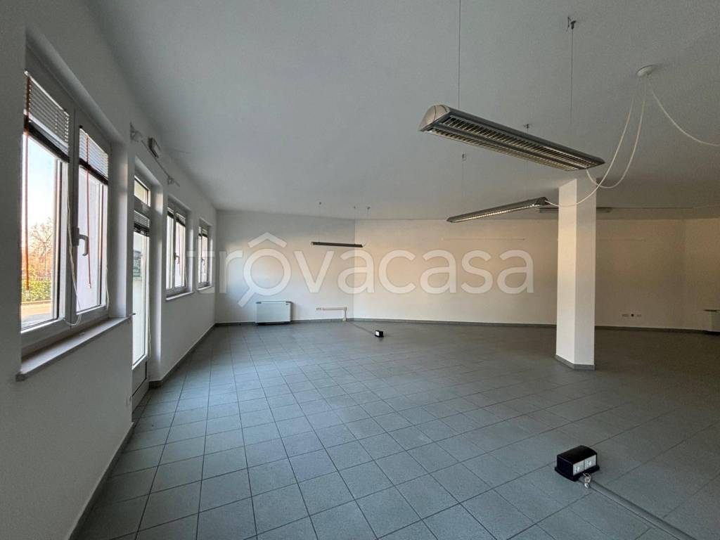 immagine annuncio 4 di 9