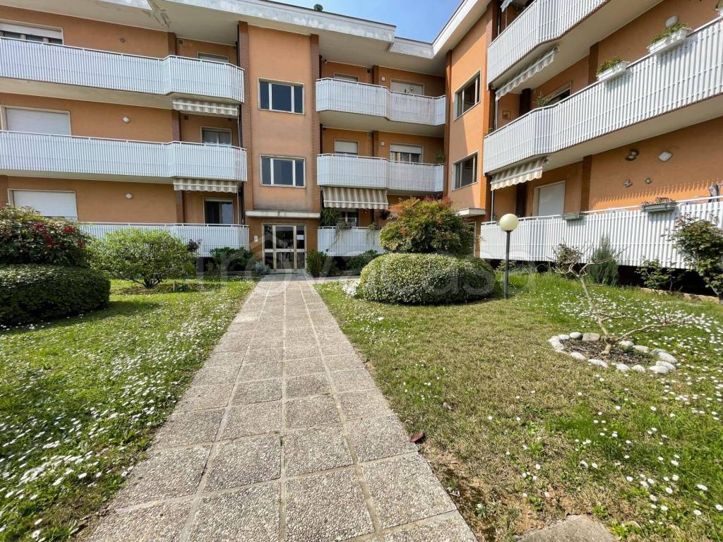 immagine annuncio 1 di 10