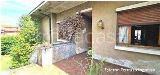 immagine annuncio 8 di 15