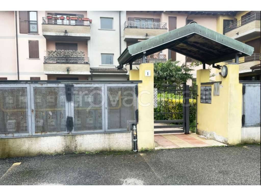 immagine annuncio 1 di 15