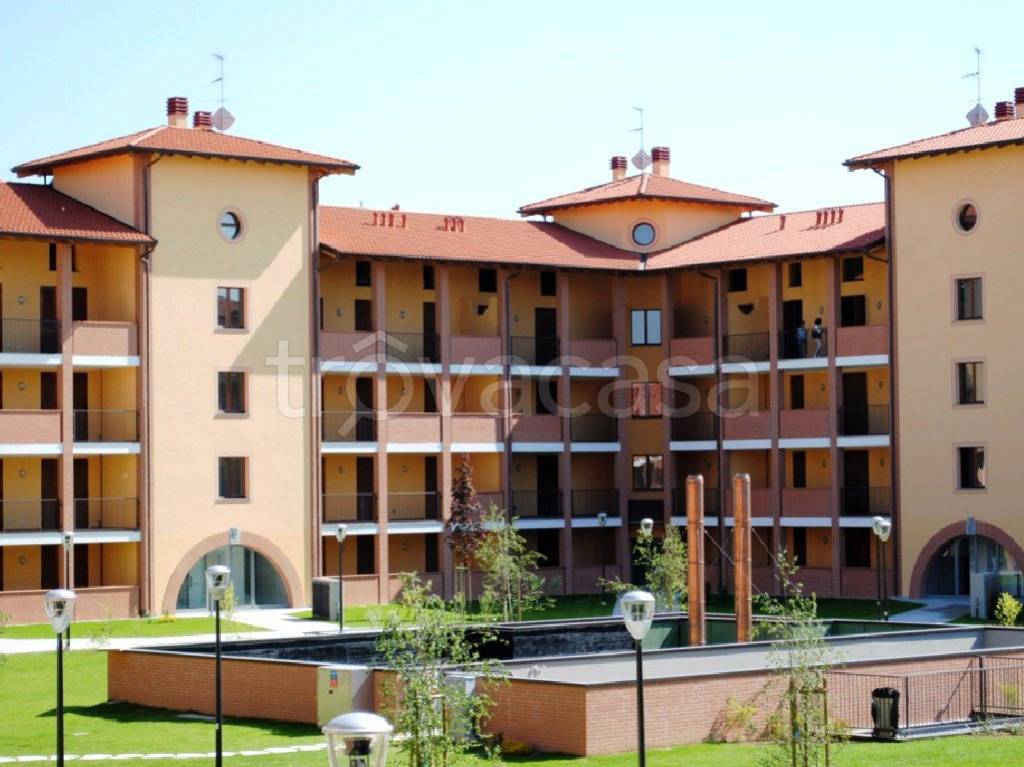 immagine annuncio 5 di 15