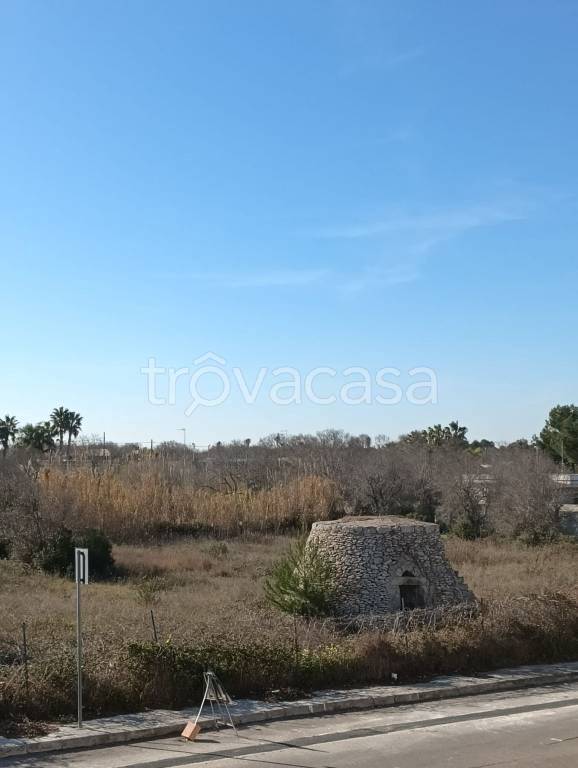 immagine annuncio 12 di 14