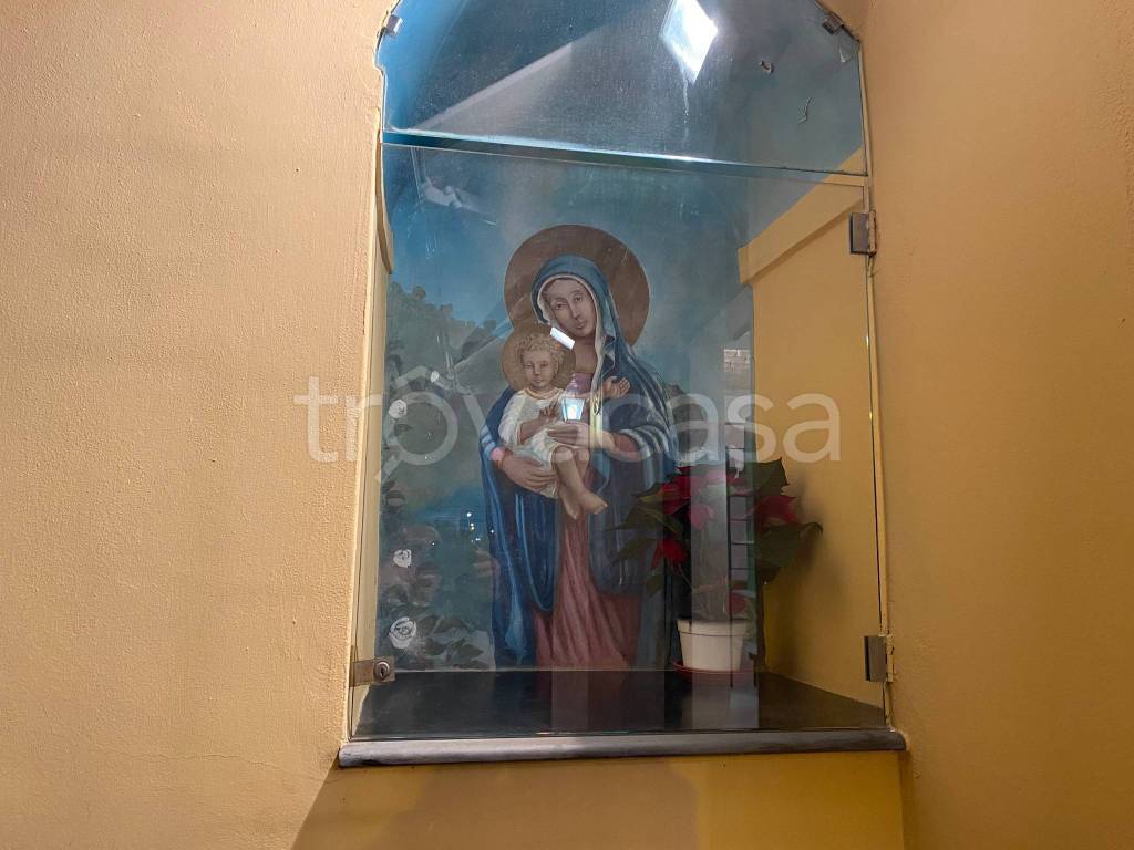 immagine annuncio 9 di 14