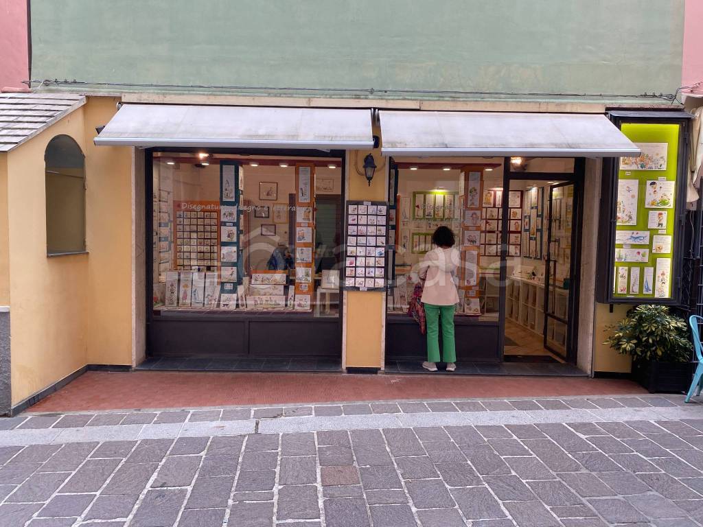 immagine annuncio 10 di 14